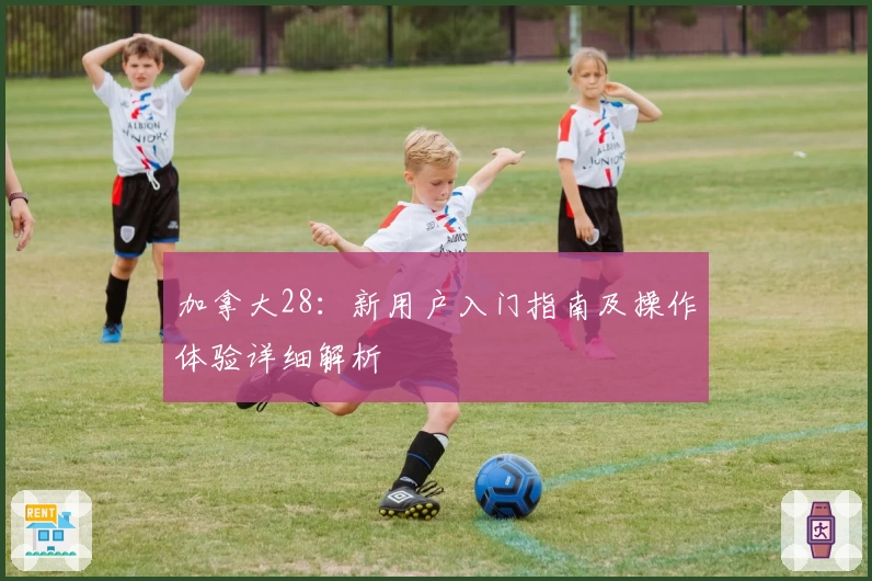 加拿大28：新用户入门指南及操作体验详细解析