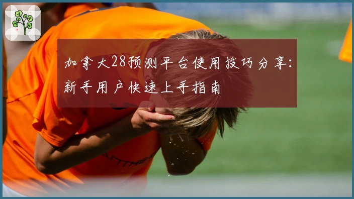 加拿大28预测平台使用技巧分享:新手用户快速上手指南