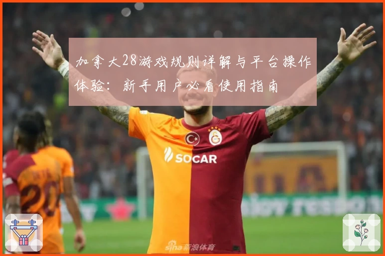 加拿大28游戏规则详解与平台操作体验：新手用户必看使用指南