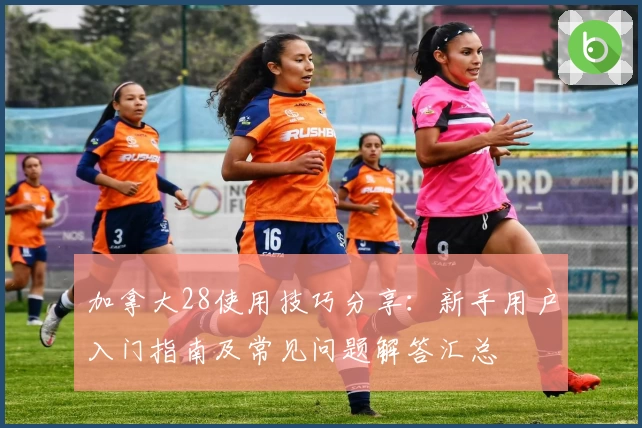 加拿大28使用技巧分享：新手用户入门指南及常见问题解答汇总
