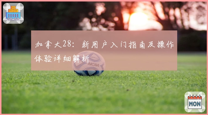 加拿大28：新用户入门指南及操作体验详细解析
