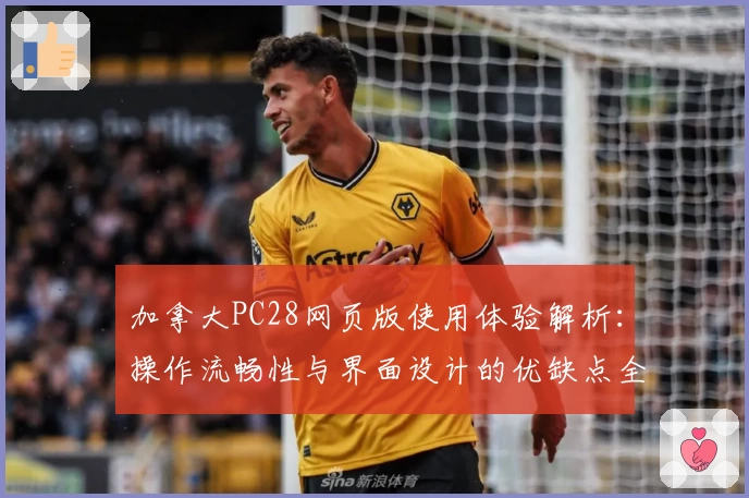 加拿大PC28网页版使用体验解析：操作流畅性与界面设计的优缺点全面分析