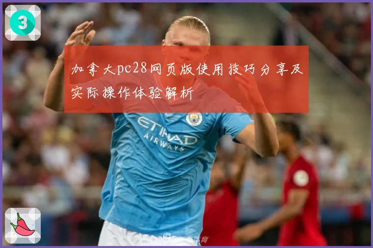 加拿大pc28网页版使用技巧分享及实际操作体验解析