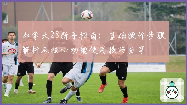 加拿大28新手指南：基础操作步骤解析及核心功能使用技巧分享