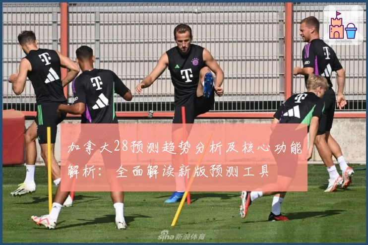 加拿大28预测趋势分析及核心功能解析：全面解读新版预测工具