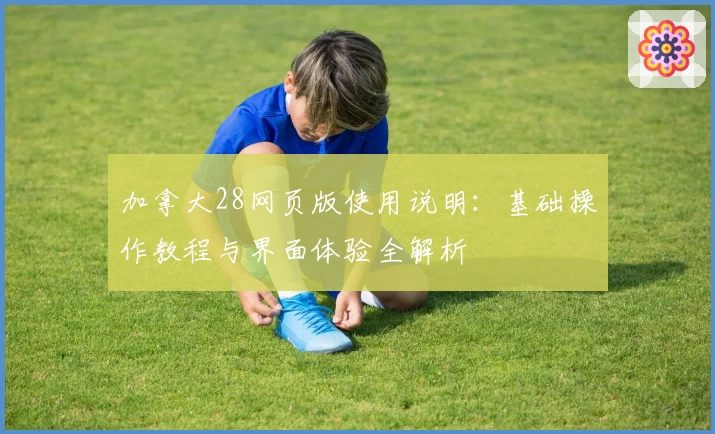 加拿大28网页版使用说明：基础操作教程与界面体验全解析