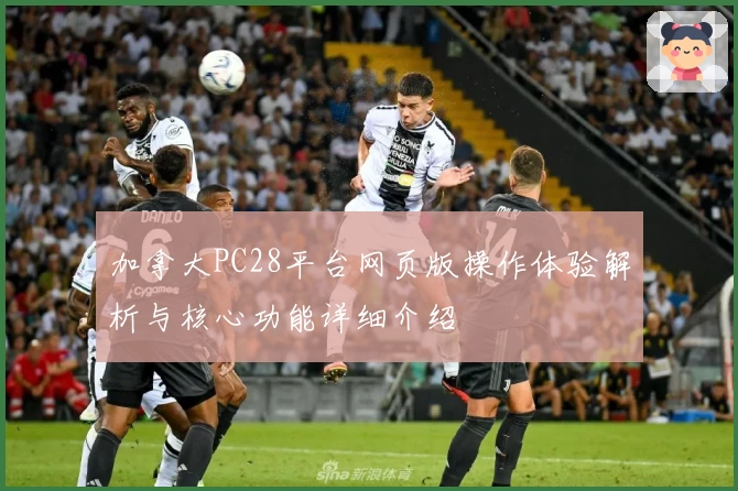 加拿大PC28平台网页版操作体验解析与核心功能详细介绍
