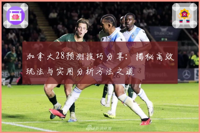加拿大28预测技巧分享：揭秘高效玩法与实用分析方法之道