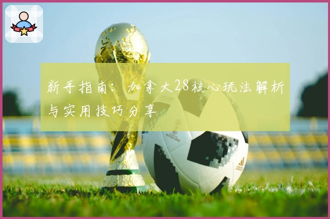 新手指南：加拿大28核心玩法解析与实用技巧分享